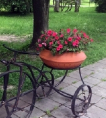 У Центральному парку Луцька висаджують квіти