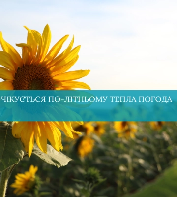 До 26 тепла: у Рівному та області очікується по-літньому тепла погода