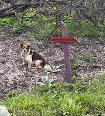 На Донеччині виявили тіла п’ятьох чоловіків та двох жінок, які загинули під час окупації