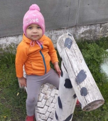 На Харківщині зникла маленька дівчинка, поліція та волонтери шукали всю ніч