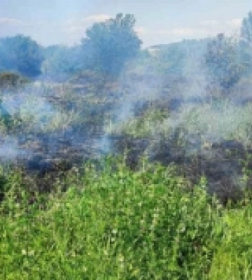 Один гектар сухої трави та чагарників згорів на Закарпатті
