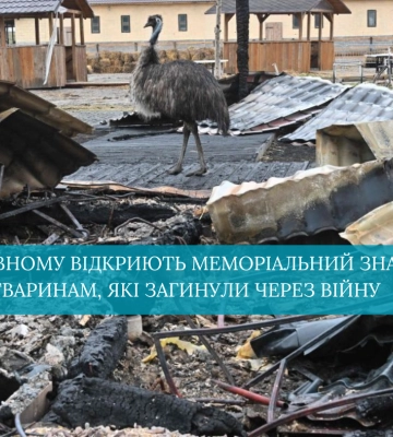 У Рівному відкриють меморіальний знак тваринам, які загинули через війну