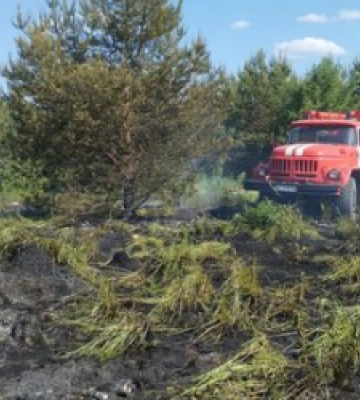На Львівщині минулої доби вогнеборці ліквідували 12 пожеж сухої трави