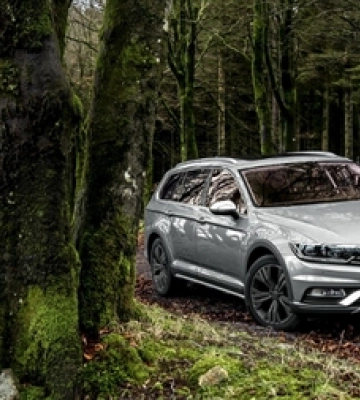 П&#039;яний волинянин натрапив у лісі на Volkswagen і викрав його