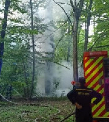 У столичному парку “Голосіївський” почастішали пожежі, підозрюють паліїв 