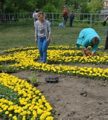На Замковій горі у Вінниці висадили з квіток Герб України