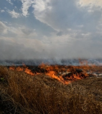 Росія завдала збитків українському довкіллю на вісім трильйонів гривень