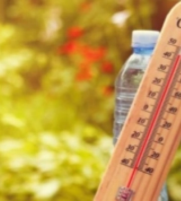 Яку погоду очікувати на початку літа на Рівненщині: прогноз
