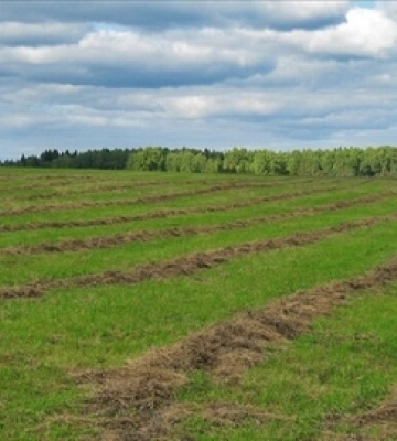 На Волині сплатили 725 мільйонів гривень податку на додану вартість