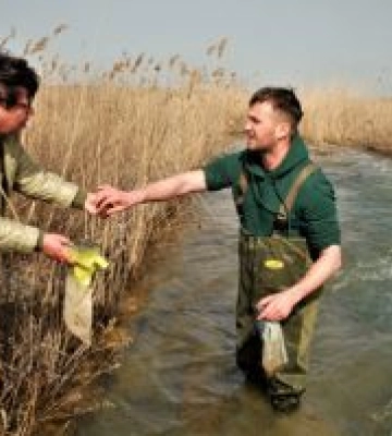 Морська варта одеських біологів
