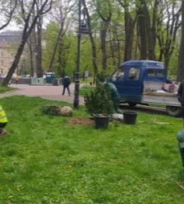 Львів&#039;яни в межах акції «Хочу посадити дерево» висадили у місті понад 200 дерев