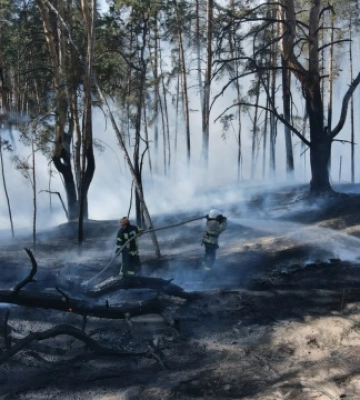 На Київщині через падіння уламків дрона горіла лісова підстилка