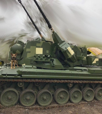 Військові показали кадри полювання «Гепарда» на «шахедів» цієї ночі