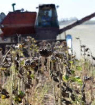ЄС остаточно затвердив продовження на рік безмитної торгівлі з Україною