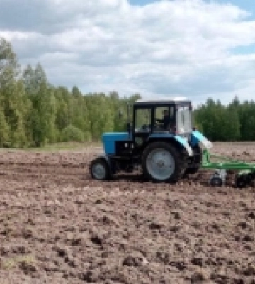 Лісівники Волині та Рівненщини засівають кормові поля