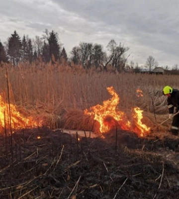На Вінниччині вогонь знищив пасіку