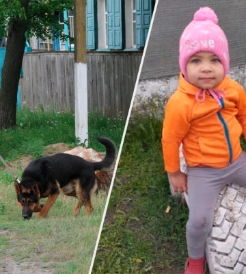 На Харківщині другу добу шукають зниклу 2-річну дівчинку