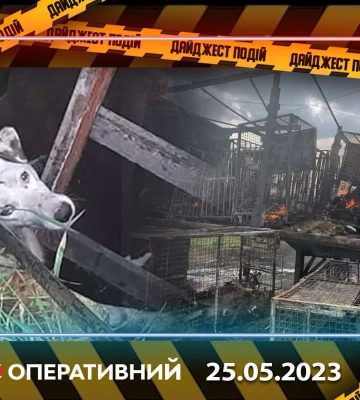 Лживый водитель, горящее производство и другие новости Днепра за 24 мая в одном видео