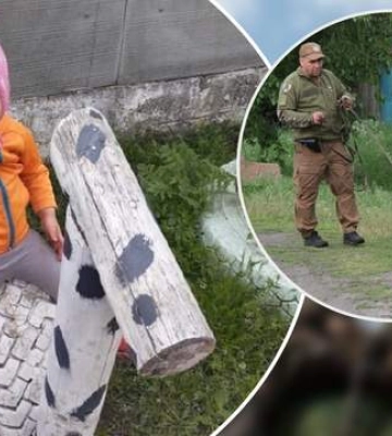 Вторые сутки поисков двухлетней девочки на Харьковщине (фото, видео)