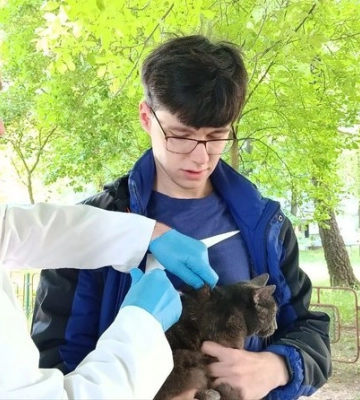У Луцьку почали безплатно вакцинувати домашніх тварин від сказу: скільки котів і собак вже щепили