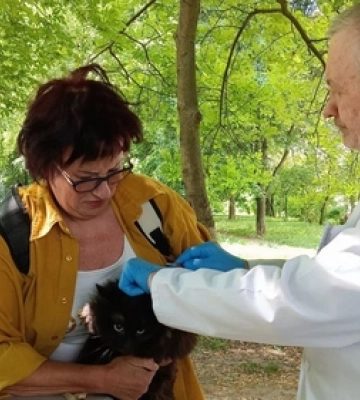 І котиків, і собачок: у Луцьку безплатно вакцинують домашніх тварин від сказу (фото, відео)