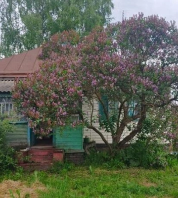 На Полтавщині дві жінки загинули від удару струмом