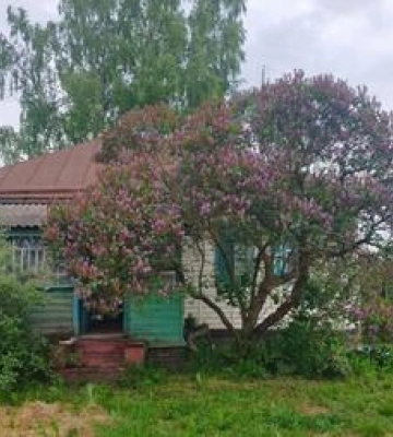 На Полтавщині дві жінки загинули від удару струмом