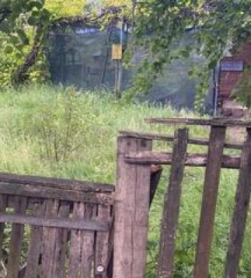 На Полтавщині чоловік влаштував стрілянину у гостях