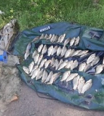 В Криворожском районе задержали нарушителя, ловившего рыбу в нерест сетками