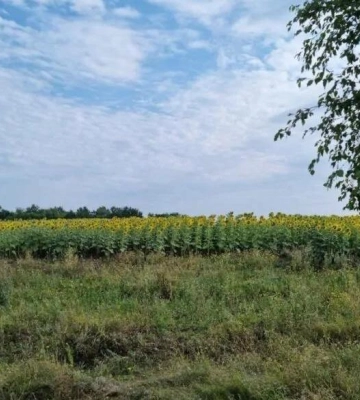 Чернівецьке товариство зобов&#039;язали сплатити громаді на Полтавщині 350 тисяч гривень боргу