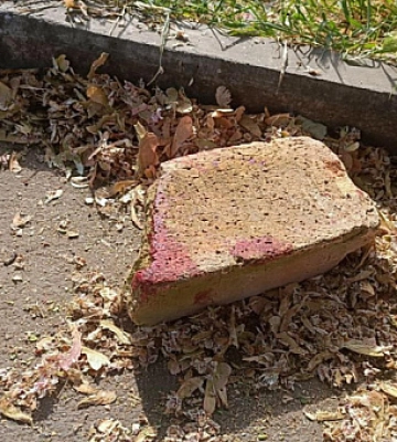 В Кривом Роге мужчина пытался убить женщину кирпичом: стали известны детали