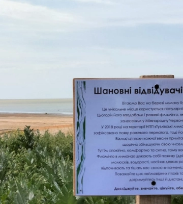 В Одеській області гніздяться екзотичні птахи
