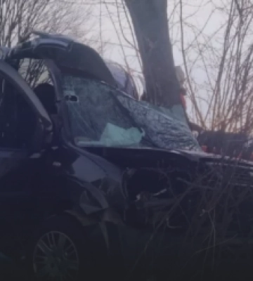 На Волині п’яний водій «фіата» врізався у дерево, постраждав 14-річний хлопець