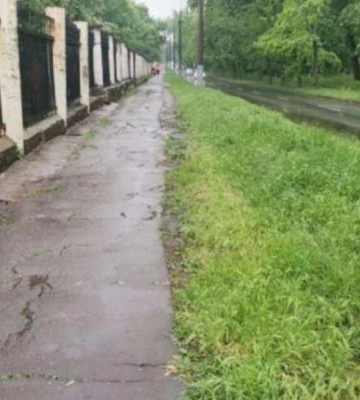 Повалил на землю и ударил по голове: в Кривом Роге мужчина пытался изнасиловать 16-летнюю девушку