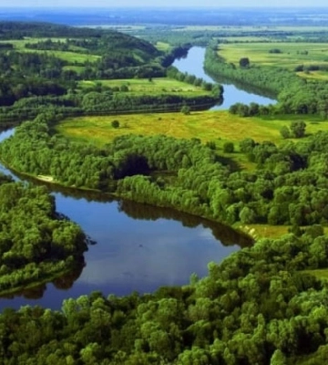 У Нобельському національному парку помітили рідкісні квіти занесені до Червоної книги