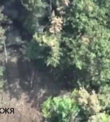 Українські воїни знищили ворожий танк у Запорізькій області. ВIДЕО