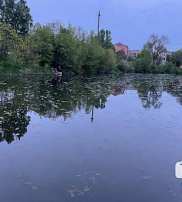 У Нікопольському районі підтопленими залишається 31 приватний будинок