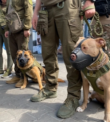 В Одесі запрацювали тимчасові поліцейські станції