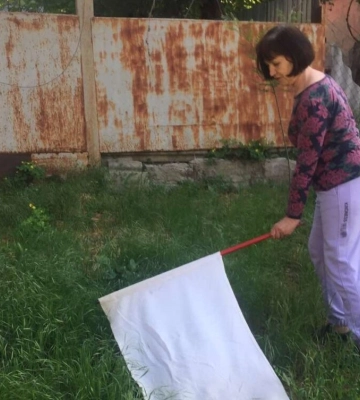 В Ізмаїлі зареєстровано випадок захворювання на бореліоз