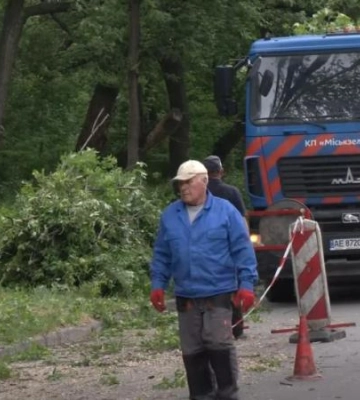 У Дніпрі прибирають аварійно-небезпечні дерева