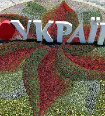 До Дня міста у різних районах Києва розквітли патріотичні клумби 