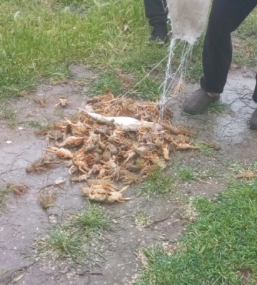 На озері в Одеській області спіймали браконьєра