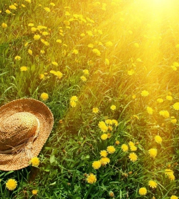 На Рівненщині прогнозують 25 градусів тепла