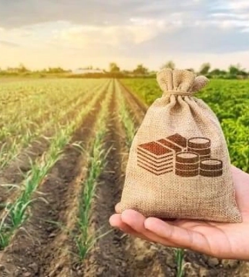 Аграрії Рівненщини отримали більше пів мільярда кредитів
