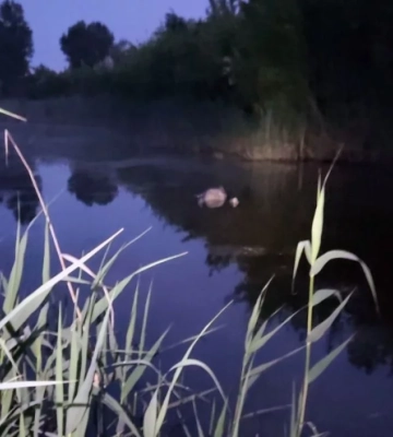 У Дніпрі водолази витягли з озера тіло жінки