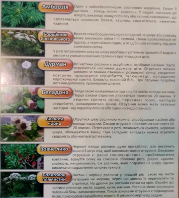Небезпечні рослини, про які варто знати