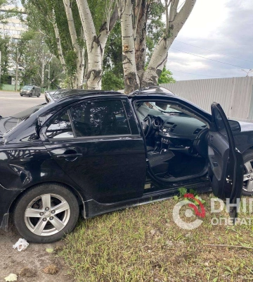 У Дніпрі дерево рухнуло на автівку 
