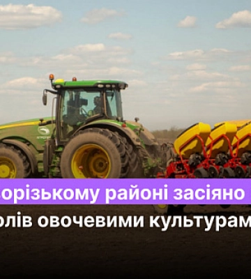 В Криворожском районе засеяно почти 96% полей овощными культурами