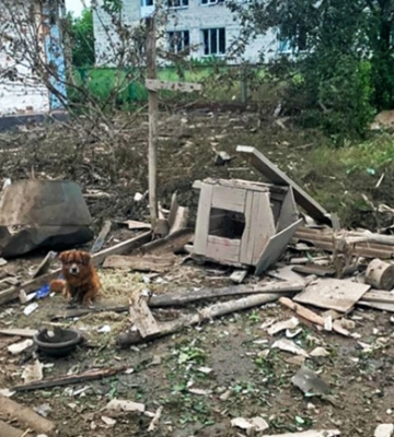 Повреждены многоквартирные и частные дома: последствия вражеской атаки в Запорожской области, — ФОТО