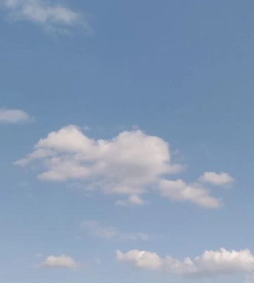 Смертельна ДТП у Львівській області